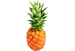 Ananas