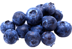Blauwe bessen