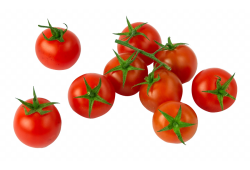 Tomaten Cherry tros