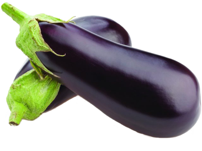Aubergine