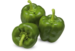 Groene paprika