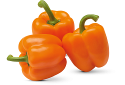 Oranje paprika