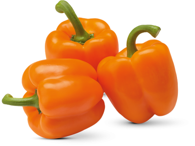 Oranje paprika