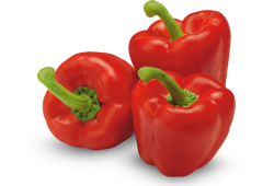 Rode paprika