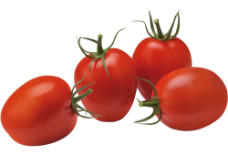 Tomaten Pruim