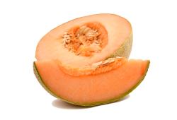 Cantaloupe