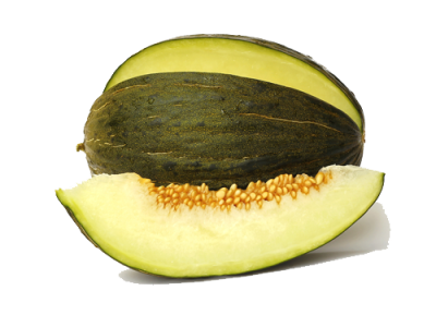 Melon Cavaillon espagnol réf.624