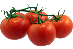 Tomaten Rond