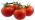 Tomaten Rond