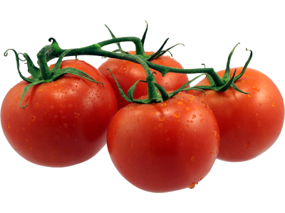 Tomaten Rond