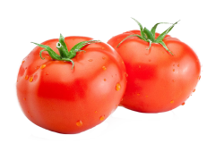 Tomaten Vlees